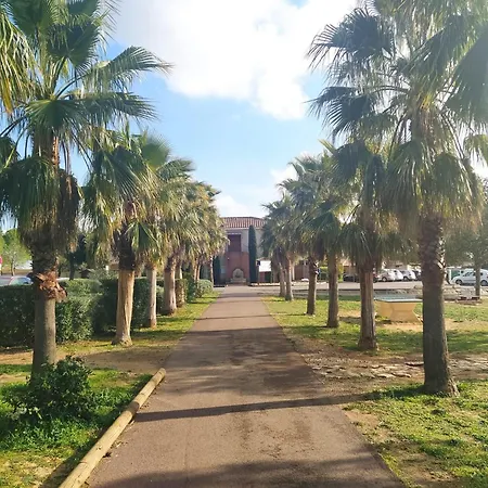 Le Camarguais